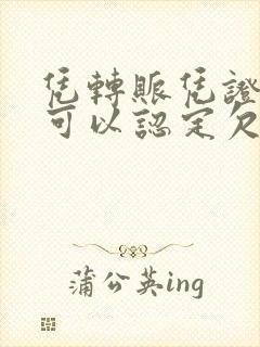 凭转账凭证起诉可以认定欠款