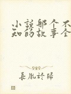 小说那个不为人知的故事全文免费阅读