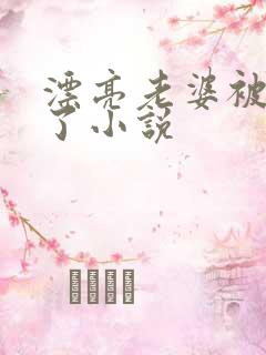 漂亮老婆被玩坏了小说