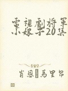 电视剧将军家的小娘子20集至40集