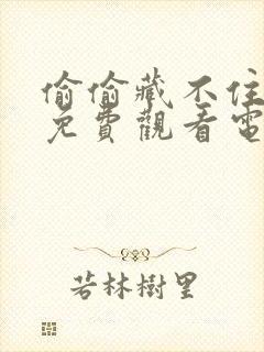 偷偷藏不住在线免费观看电视剧