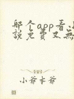 哪个app看小说免费又无广告