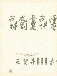 我感觉我懂你的特别是什么歌