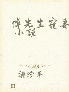 傅先生宠妻无度 小说