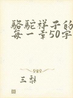 骆驼祥子的概括每一章50字