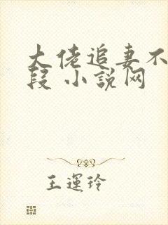 大佬追妻不择手段 小说网