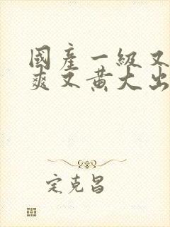 国产一级又色又爽又黄大出