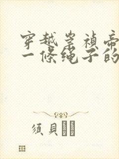 穿越崇祯帝开局一条绳子的小说