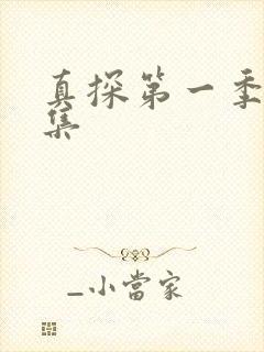 真探第一季第一集