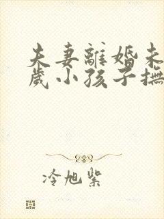 夫妻离婚未满两岁小孩子抚养权归谁