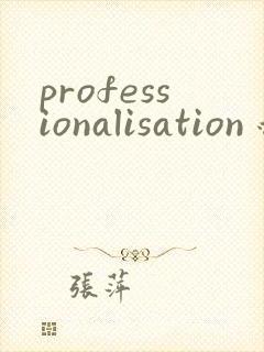 professionalisation 翻译