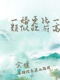 一婚更比一婚高类似政府高干
