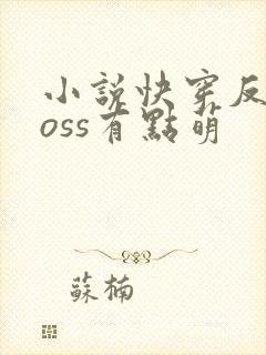 小说快穿反派boss有点萌