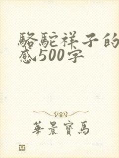 骆驼祥子的读后感500字