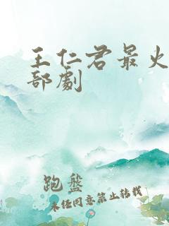 王仁君最火的三部剧