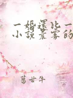 一婚还比一婚高小说晨雾的光完整版全文阅读