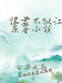 恨君不似江楼月原著小说