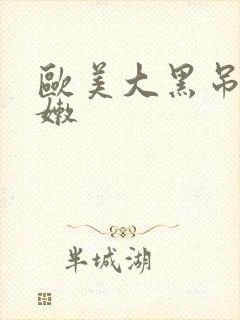 欧美大黑吊操白嫩