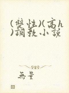 (双性)(高h)调教小说