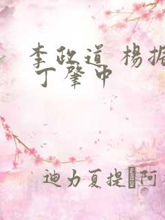 李政道 杨振宁 丁肇中