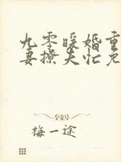 九零暖婚重生甜妻撩夫忙免费