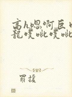 高h嗯啊巨肉双龙噗呲噗呲小说