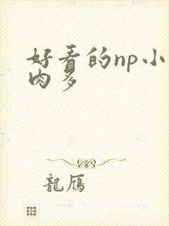 好看的np小说肉多