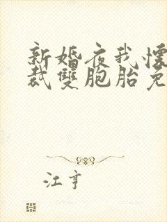 新婚夜我怀了总裁双胞胎免费阅读