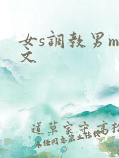女s调教男m黄文