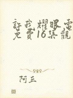 许我耀眼电视剧免费16集观看