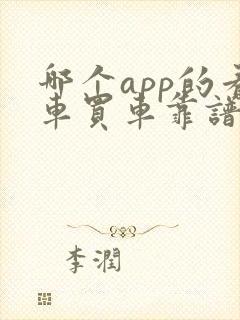 哪个app的看车买车靠谱