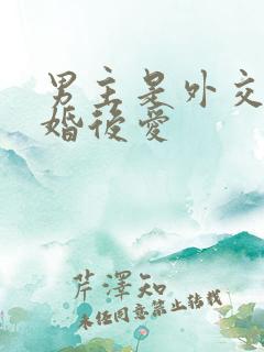 男主是外交官先婚后爱