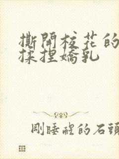 撕开校花的乳罩揉捏娇乳