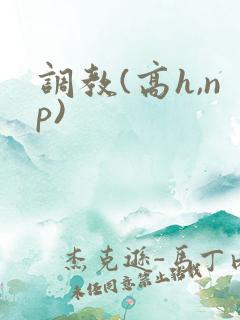 调教(高h,np)