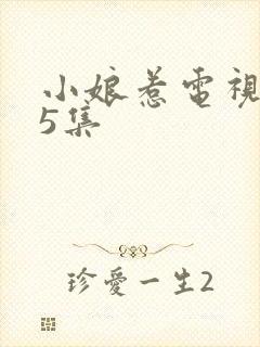 小娘惹电视剧45集