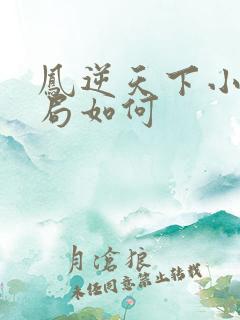 凤逆天下小说结局如何