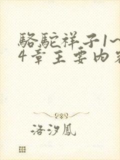 骆驼祥子1~24章主要内容