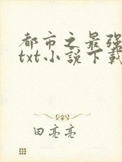 都市之最强狂兵txt小说下载