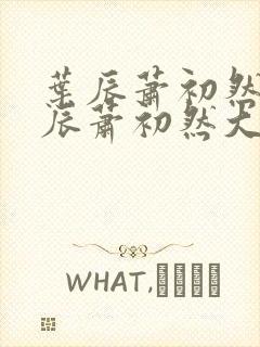 叶辰萧初然 叶辰萧初然大结局