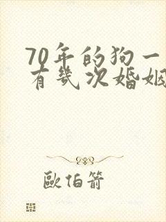 70年的狗一生有几次婚姻