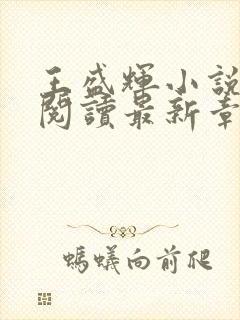 王盛辉小说免费阅读最新章节更新