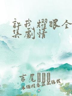 许我耀眼全集分集剧情