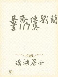 岳飞传刘兰芳评书117集