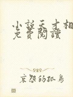 小说天才相师的免费阅读