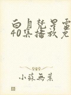 白月梵星电视剧40集播放免费完整版