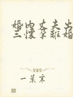 婚内丈夫出轨小三怀孕离婚