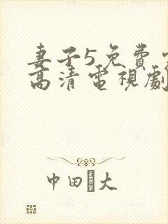 妻子5免费完整高清电视剧看