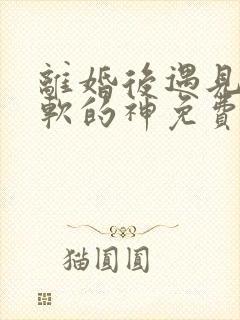 离婚后遇见了心软的神免费观看