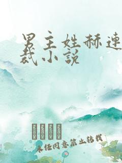 男主姓赫连的总裁小说