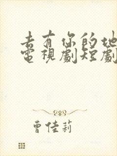 去有你的地方2电视剧短剧免费观看